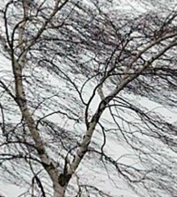 Штормове попередження: в Одесі очікують пориви вітру