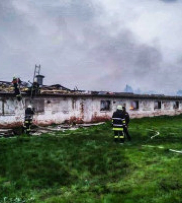 В Березані горіла ферма, загинуло численне поголів’я вирощуваної птиці
