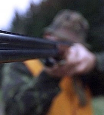 На Закарпатті взяли під варту двох братів, які намагалися переправити через кордон призовників і вдарили прикордонника (ФОТО)