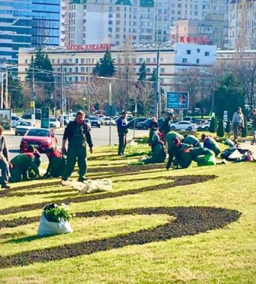 В Одесі на клумбах з’явилися тисячі квітів