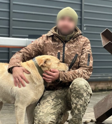 У Рівному знайшли власника чотирилапого втікача