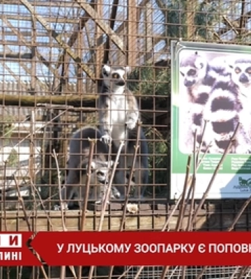 Весна у Луцькому зоопарку: як тварини «зустріли» потепління та відвідувачів (відео)