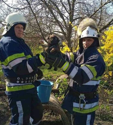 На Дніпропетровщині надзвичайники врятували життя цуцика