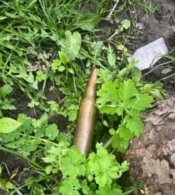 Лучанин знайшов на вулиці боєприпас