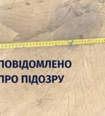 Допустили незаконну порубку дерев зі збитками у понад 50 млн грн – підозрюють двох колишніх службових осіб ДП «Іршавське ЛГ»