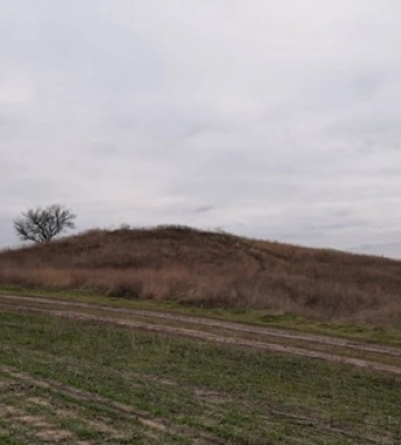 На Миколаївщині намагаються повернути в державну власність пам’ятку археології
