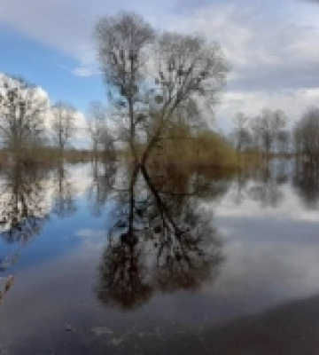 Вода прибуває: як розлився Стир у селі на Рівненщині ФОТО, ВІДЕО