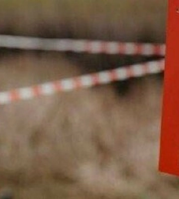 На Дніпропетровщині активно розміновують території: що обстежують першочергово