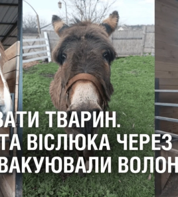 ВРЯТУВАТИ ТВАРИН. Коней та віслюка через мінне поле евакуювали волонтери