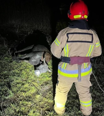 На Дніпропетровщині надзвичайники визволили корову із пастки