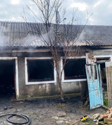 В Винницкой области пожар погубил семью. Появилось видео