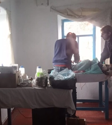 Запорізькі волонтери організували стерилізацію тварин біля зони бойових дій: подробиці