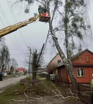 У громаді на Рівненщині продовжують роботи з обрізки дерев