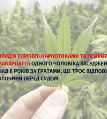 Протидія торгівлі наркотиками та психотропами на Закарпатті: одного чоловіка засуджено до понад 6 років за ґратами