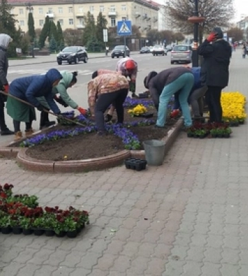 Висаджують квіти та зрізають гілля дерев: у Луцьку комунальники порядкують у місті