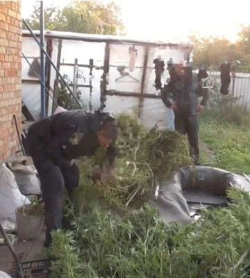 У Нікопольському районі у чоловіка знайшли 3 кілограми марихуани