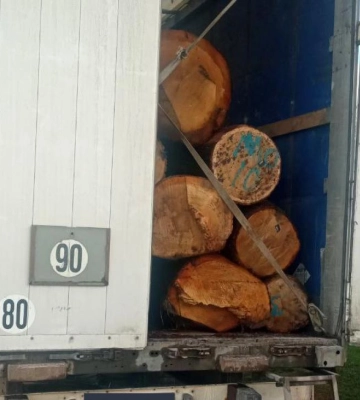 На Рівненщині поліцейські задокументували факт незаконного перевезення лісопродукції