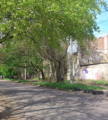 В ДЖКГ Миколаєва попередили про непрацюючі світлофори на трьох жвавих перехрестях