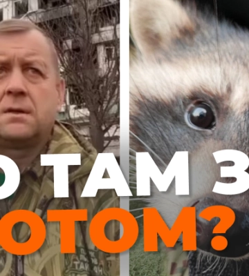 Вивезені з Херсону єноти дали потомство в Криму