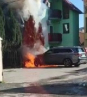 У Мукачеві на Данила Галицького підпалили легковик депутата