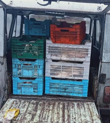 На Полтавщині зупинили браконьєра, що хотів вивезти на машині 500 кг риби