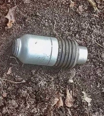 У селі під Києвом собака виявив гранату