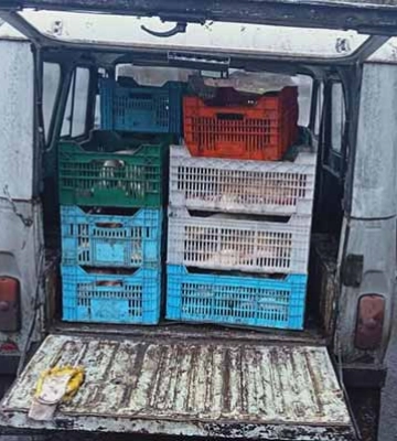 На Полтавщині браконьєр перевозив 500 кілограмів риби (ВІДЕО)