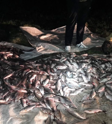 На Полтавщині спіймали браконьєрів, які наловили риби на понад два млн грн