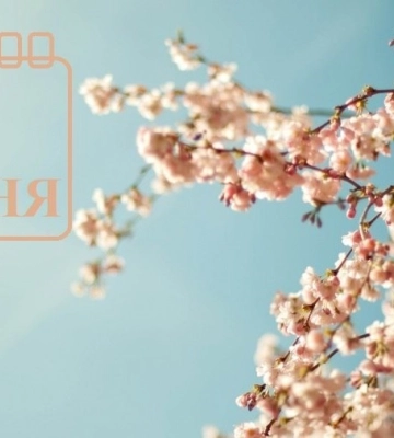 Сьогодні 14 квітня: яке свято та день в історії Сьогодні 14 квітня: яке свято та день в історії