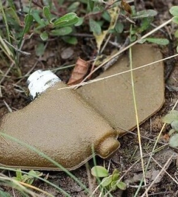 В Ізюмському районі Харківщини на вибухових пристроях підірвались двоє людей