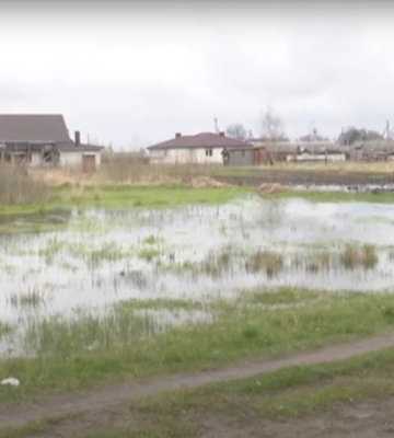 Волинське Полісся у воді: що з посівною і чи буде врожай