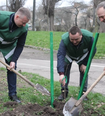 В рамках всеукраїнської акції у Рівному висадили понад два десятки шевченкових дубів