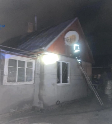 У Луцьку з вогню врятували п&#039;ятьох цуценят 