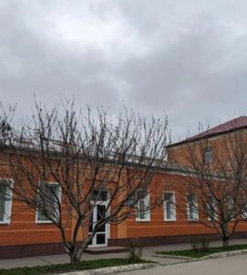 Чи розквітне на Великдень 2023 сакура у Полтаві