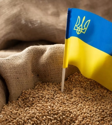 Польша запретила ввоз зерна и продовольствия из Украины — Киев отреагировал