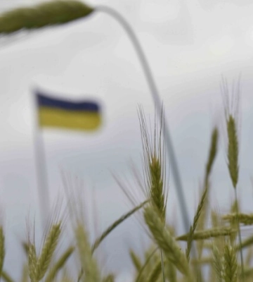 Варшава призупиняє імпорт сільгосппродукції з України. Київ відреагував