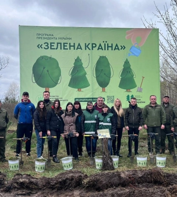 З жолудів дуба Шевченка посадили «Алею незламності» на Полтавщині