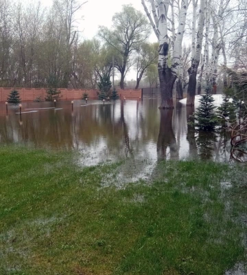 Из-за повышения уровня воды в реке подтопило дворы в Днепре и области