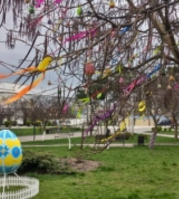 Писанкова алея прикрашає місто Вараш