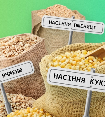 Насіннєві компанії інвестують в Україну попри війну десятки мільйонів євро: які перспективи у галузі?
