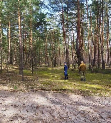 Пішла з дому і не повернулася: на Волині разом із поліцією та рятувальниками шукають зниклу жінку