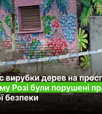 Під час вирубки дерев на проспекті у Кривому Розі були порушені правила газової безпеки