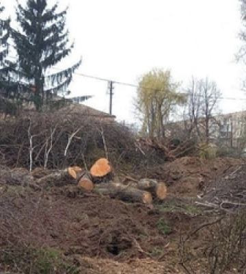 У Луцьку на Гордіюк незаконно зрізали дерева, за винуватців взялись муніципали