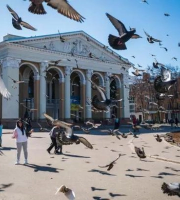 Полтавці можуть проголосувати за повернення святкування дня міста 12 липня