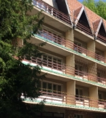 На Закарпатті пропонують до оренди базу відпочинку за 45 тисяч гривень