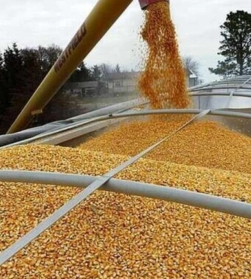 Украина и Польша решили вопрос с транзитом агропродукции, - Минагро