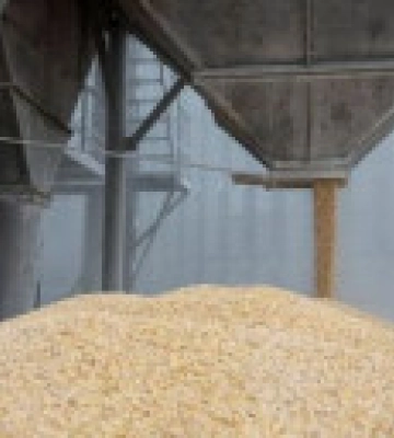 Румыния введет таможенный контроль всей агропродовольственной продукции, поступающей из Украины, не введя запрета на импорт