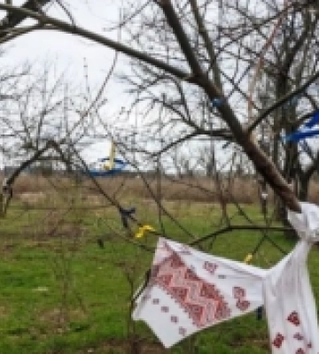 Херсонська міська військова адміністрація повертає землі Бузкового гаю до комунальної власності міста