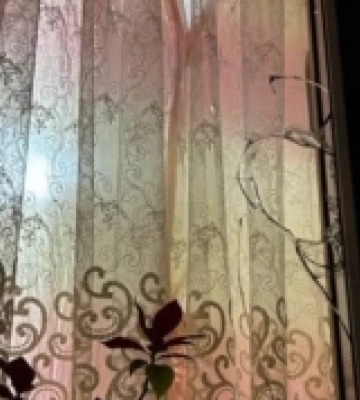 В Ужгороді чоловік розбив вікно та намагався проникнути у чуже помешкання
