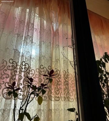 В Ужгороді чоловік розбив вікно та намагався проникнути у чуже помешкання